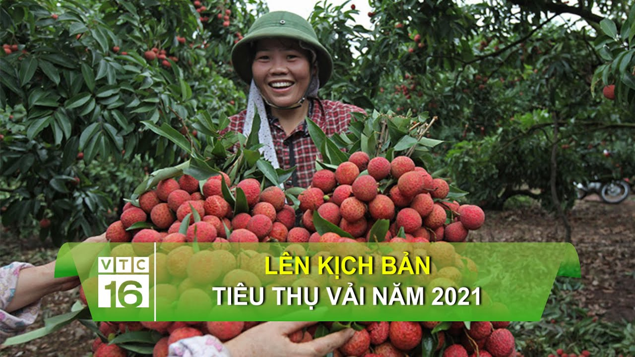 Làm Video Ngắn – Vừa Sáng Tạo, Vừa Kiếm Tiền Với Công Cụ Hữu Ích_Đào tạo kỹ năng lãnh đạo