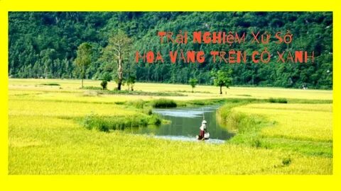 Hotspot Matrix và Nữ diễn viên có style